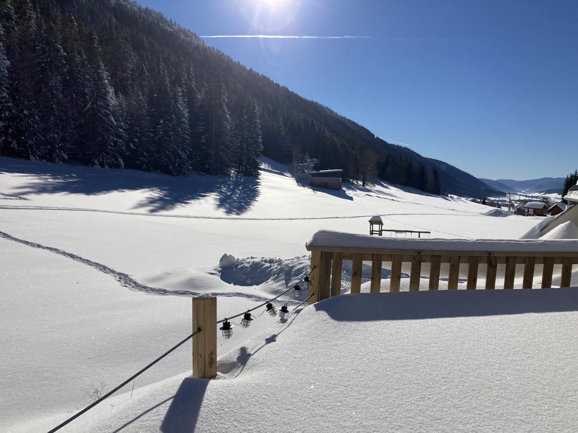 Gite La Resilience, Sur La Piste De Ski D'Autrans Pokoj fotografie