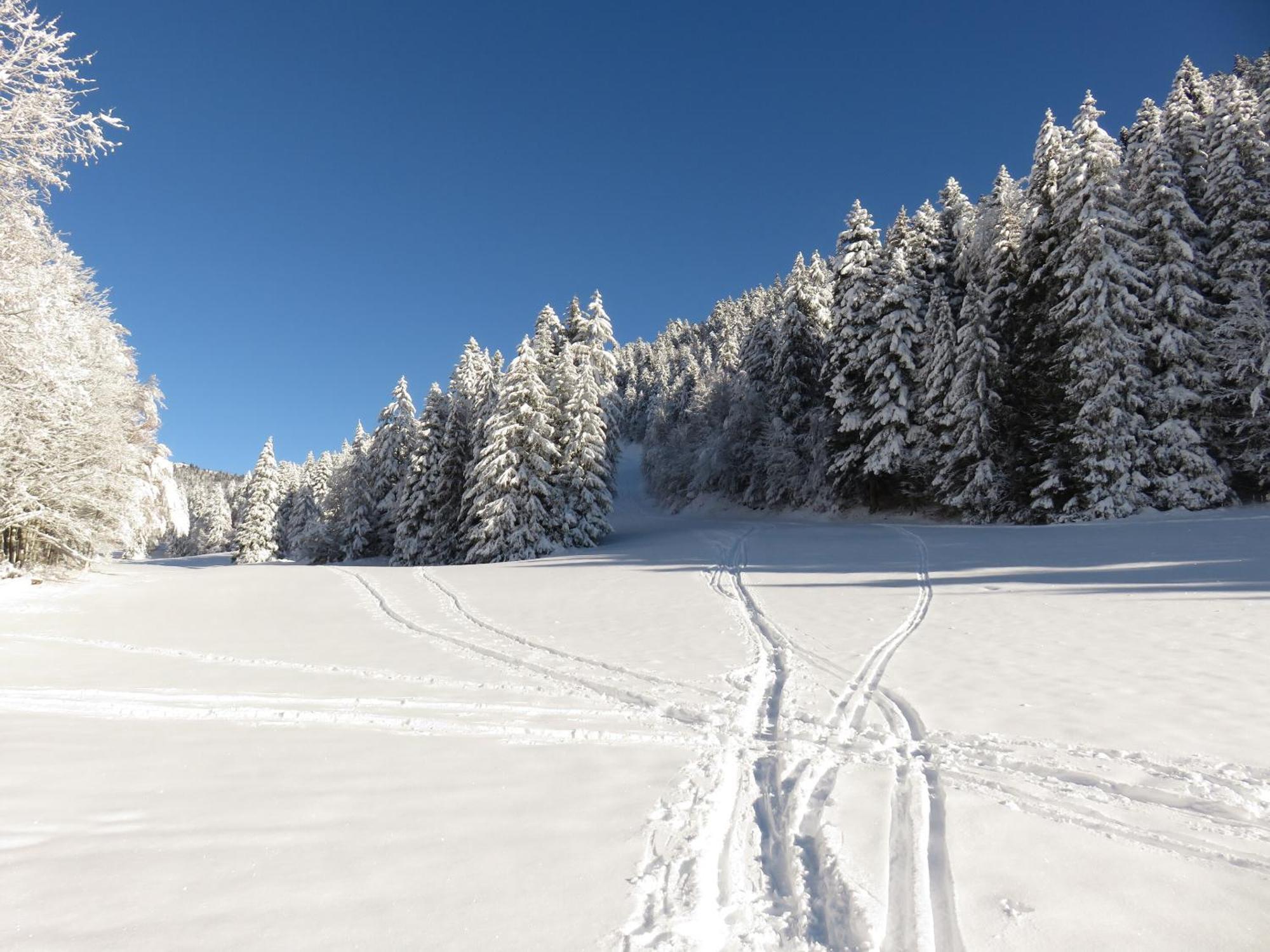 Gite La Resilience, Sur La Piste De Ski D'Autrans Exteriér fotografie